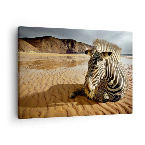 Obraz na plátne - Zebra odpočíva na piesočnatej pláži s útesmi v pozadí. - 70x50cm - Hodíme sa k sebe - Moderná nástenná dekorácia do obývacej izby a spálne ARTTOR