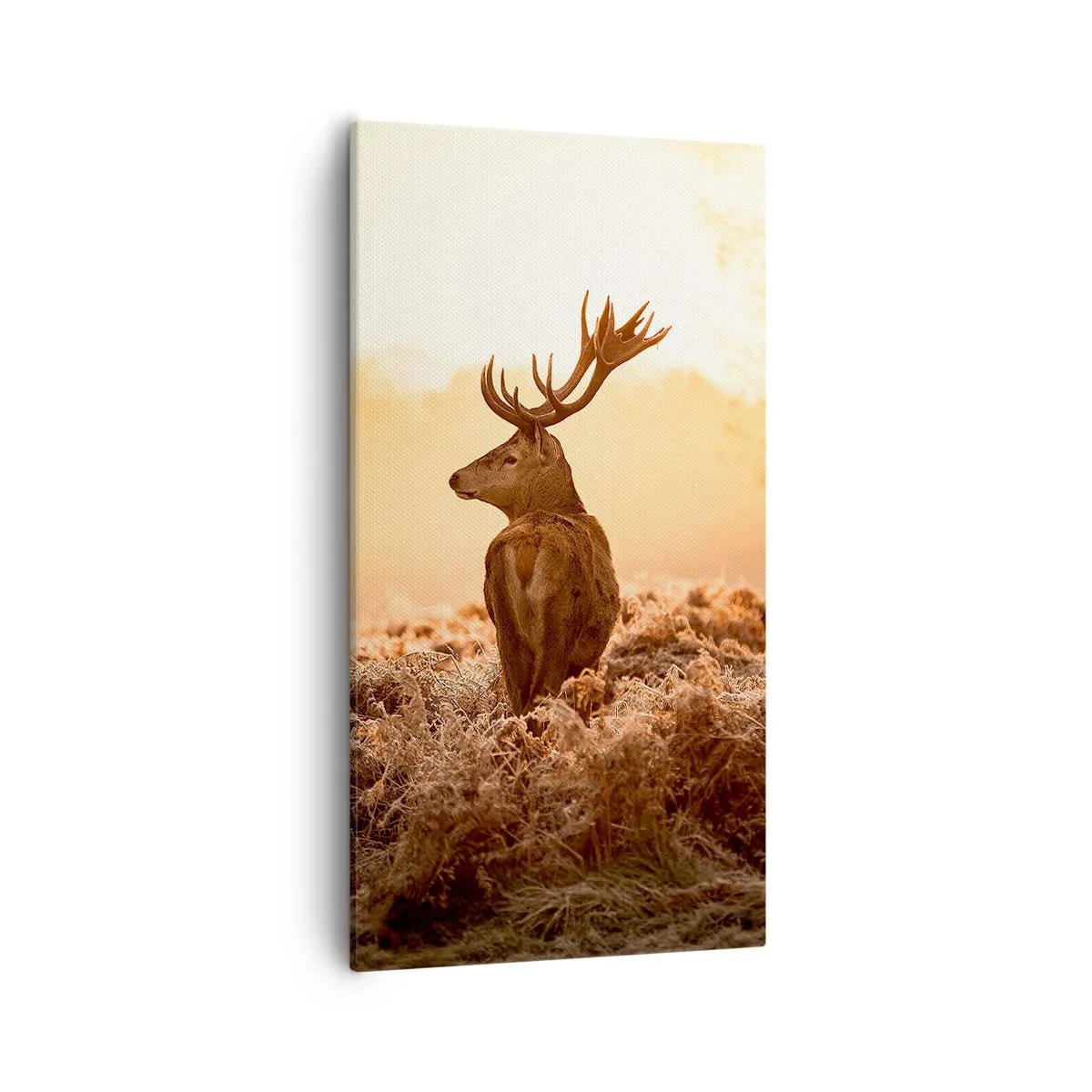 Obraz na plátne - Pán na panstve - 55x100 cm