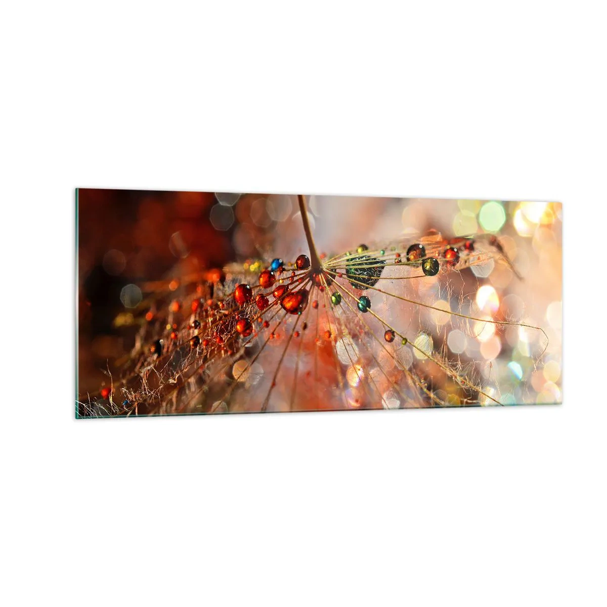 Obraz na skle - Navlečené na pavučinu - 100x40 cm