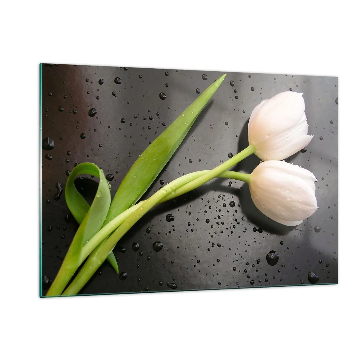 Obraz na skle - Jarná väzba - 120x80 cm