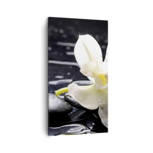 Obraz na plátne - Štúdia v čiernej a bielej - 45x80 cm