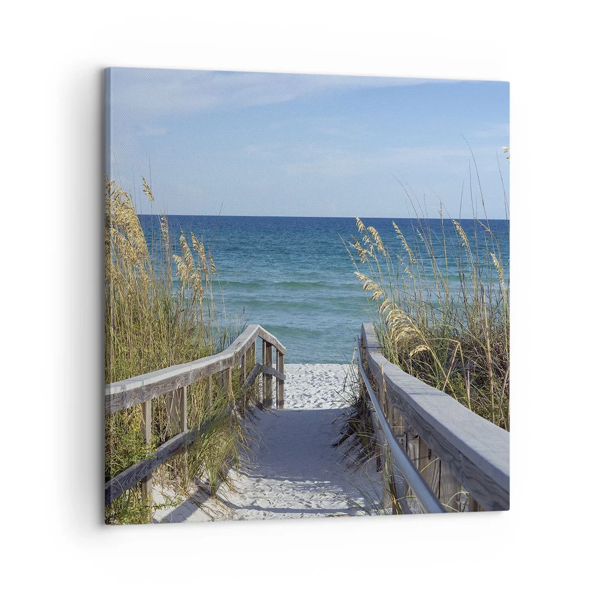 Obraz na plátne - Na slnku, vo vetre - 60x60 cm