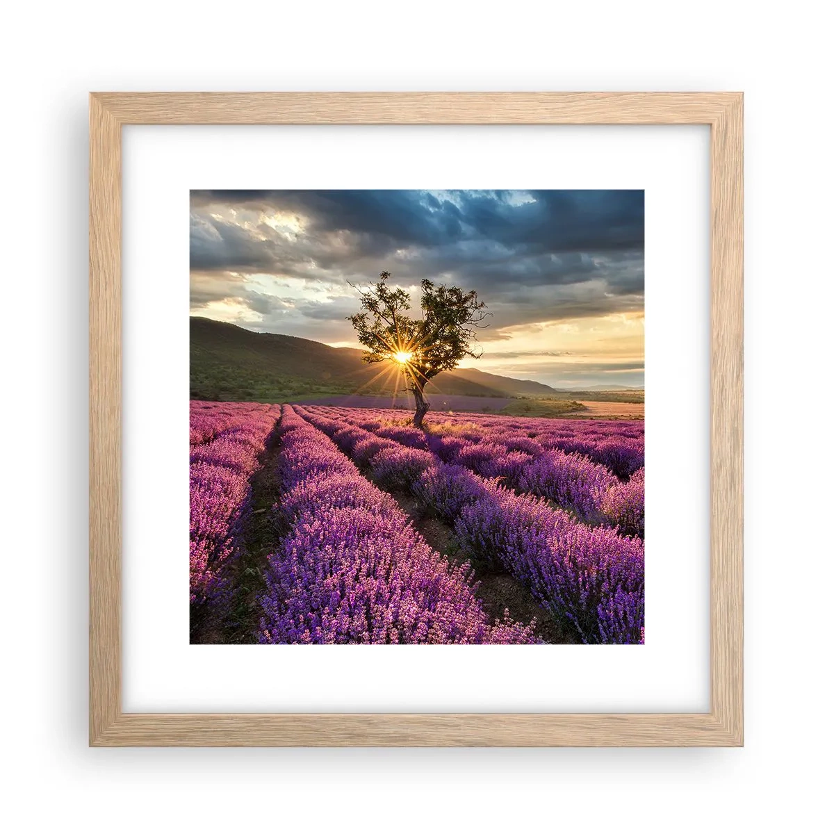 Plagát v ráme zo svetlého duba - Aróma vo fialovej - 30x30 cm