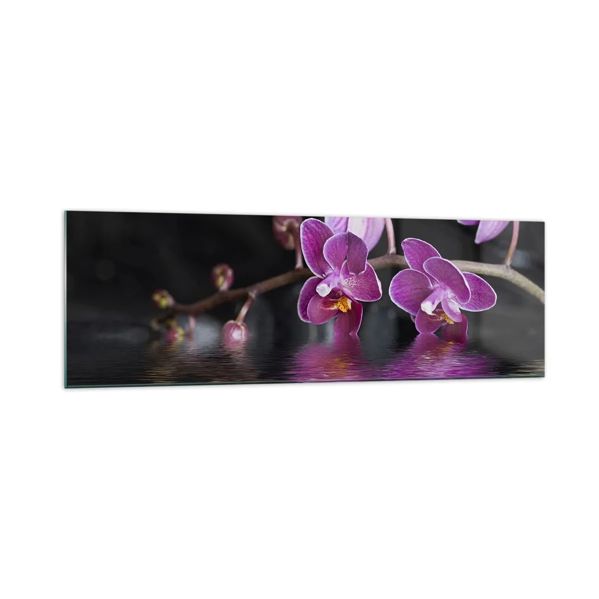 Obraz na skle - Ľaliový odraz krásy - 160x50 cm