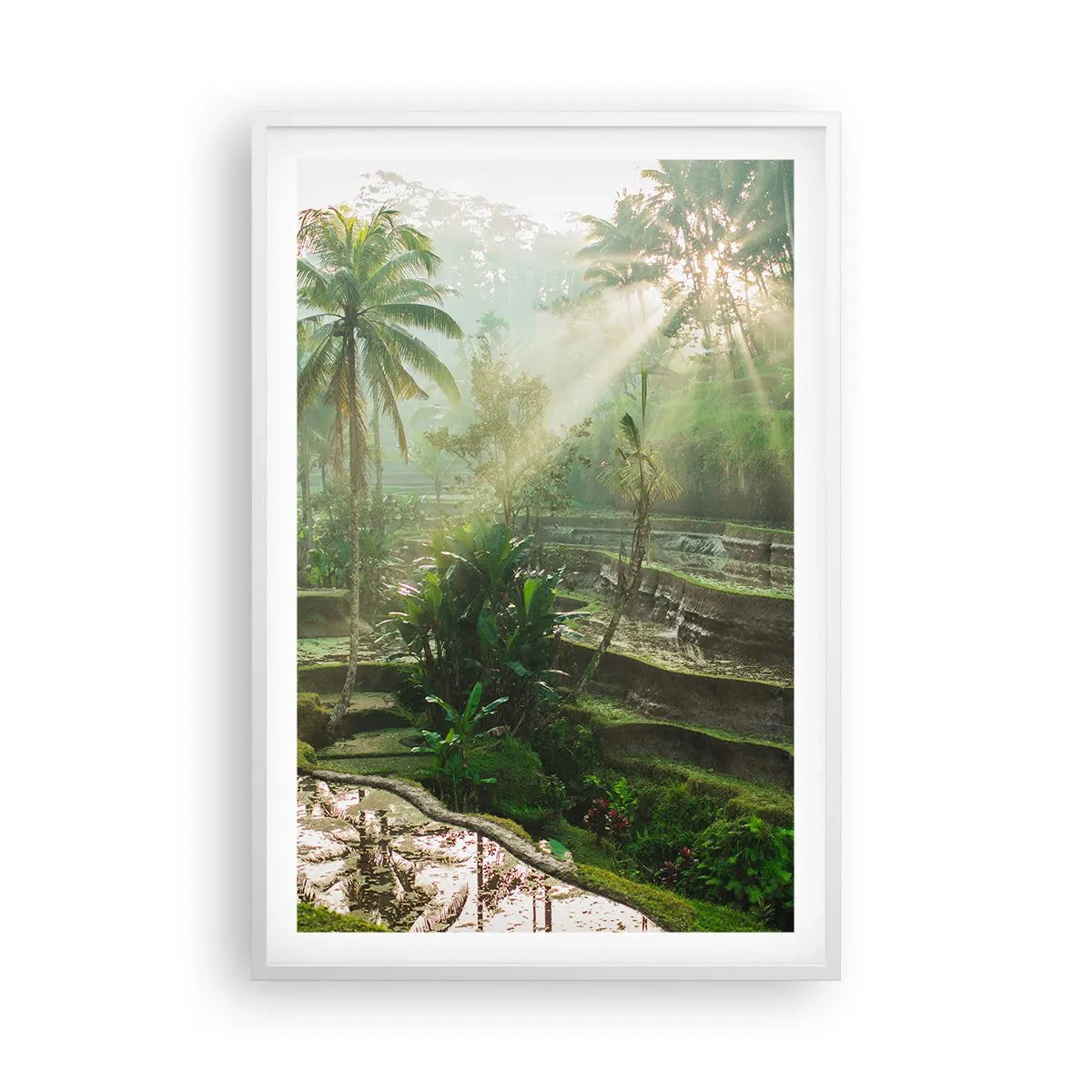 Plagát v bielom ráme - Vyrastať na slnku - 61x91 cm