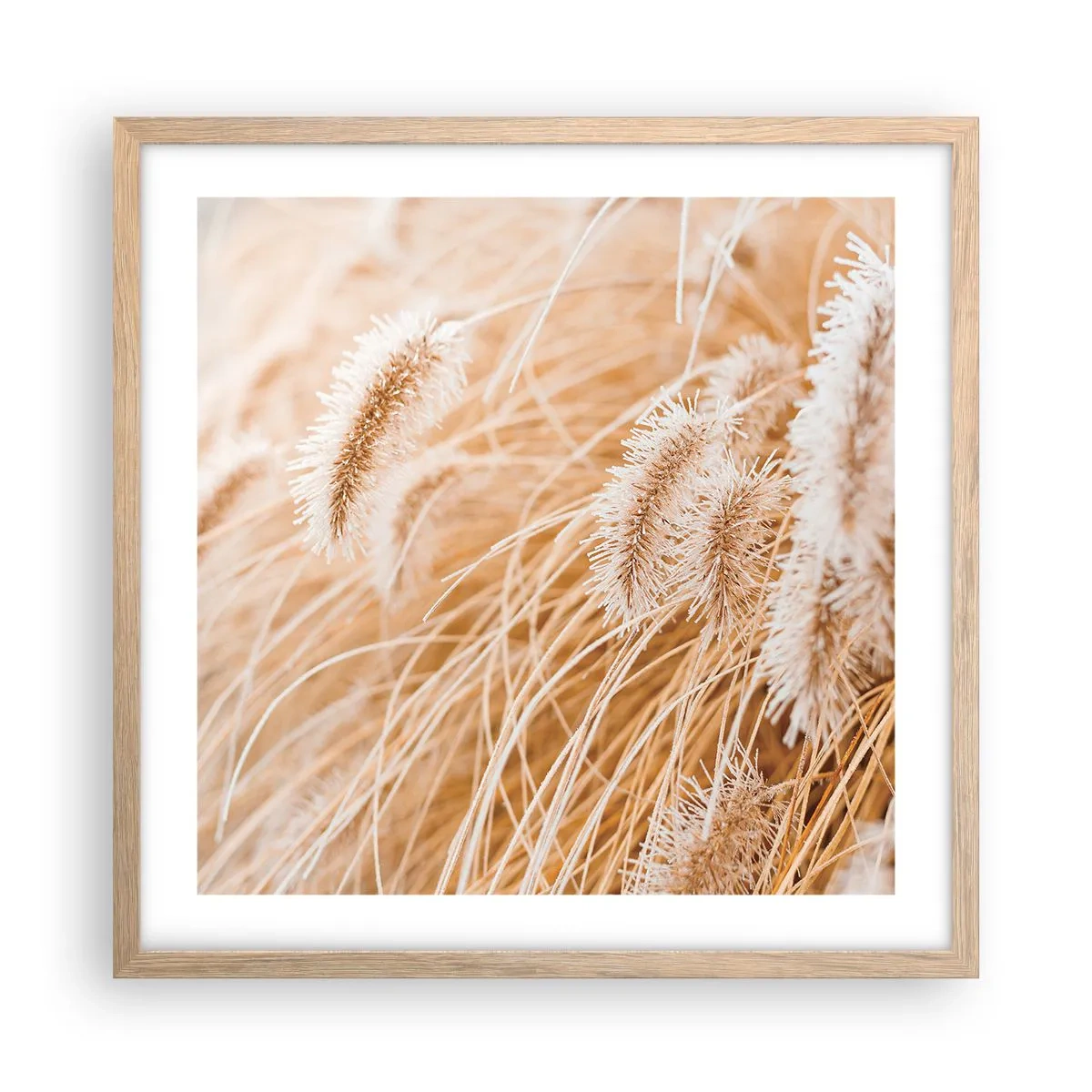 Plagát v ráme zo svetlého duba - Zlaté šušťanie tráv - 50x50 cm