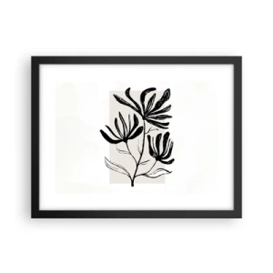 Plagát v čiernom ráme - Náčrtok pre herbár - 40x30 cm