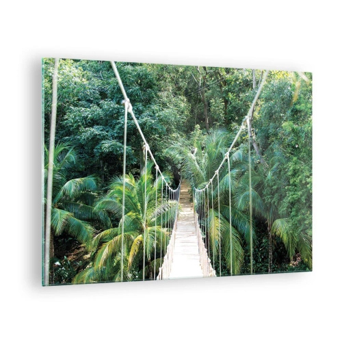 Obraz na skle - Visutý most v tropickom lese - 70x50cm - Welcome to the jungle! - Moderná nástenná dekorácia do obývacej izby a spálne ARTTOR