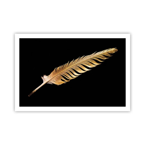 Plagát - Krásne pierko… - 91x61 cm