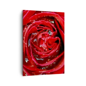 Obraz na plátne - V kvapkách rosy - 50x70 cm