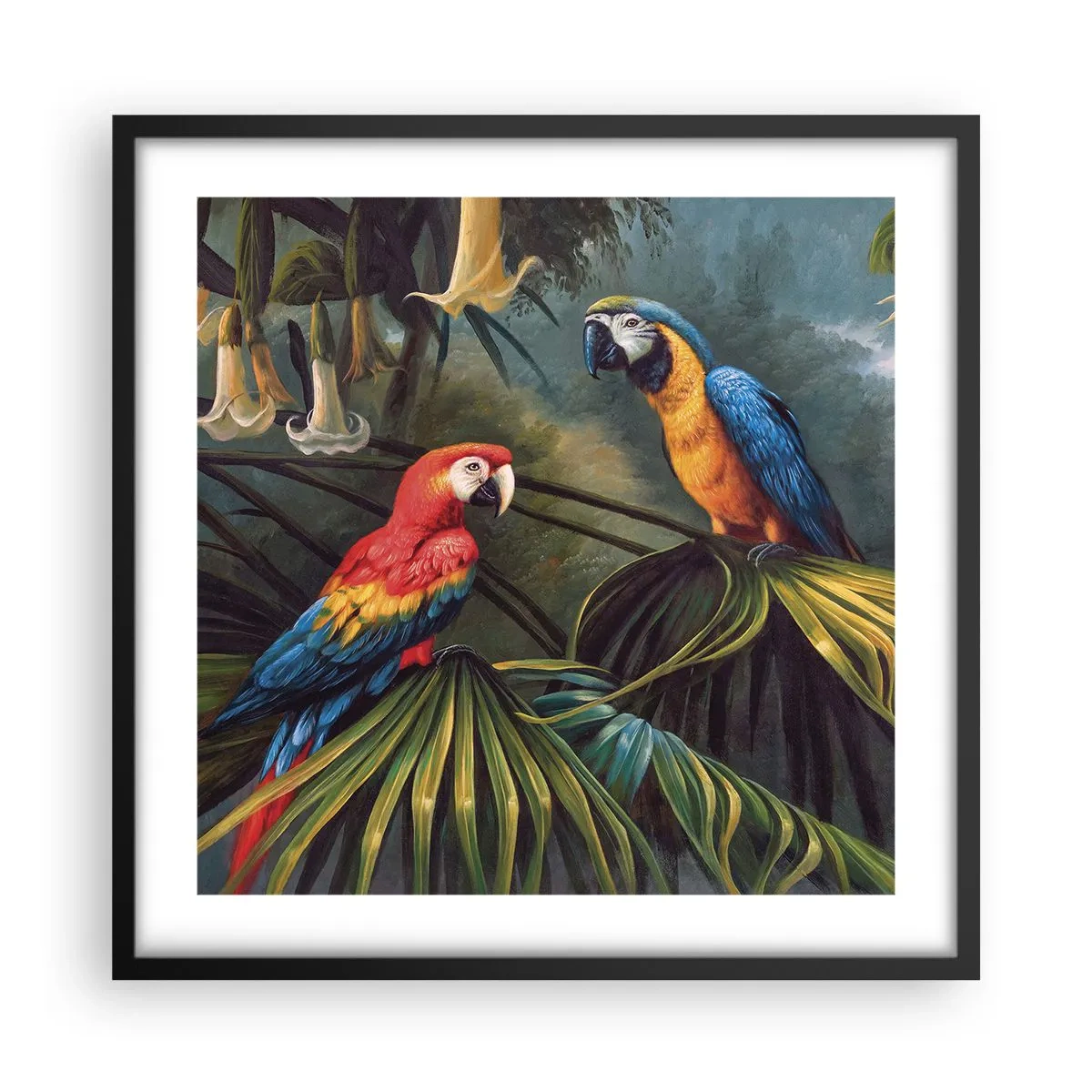 Plagát v čiernom ráme - Romantizmus v trópoch - 50x50 cm