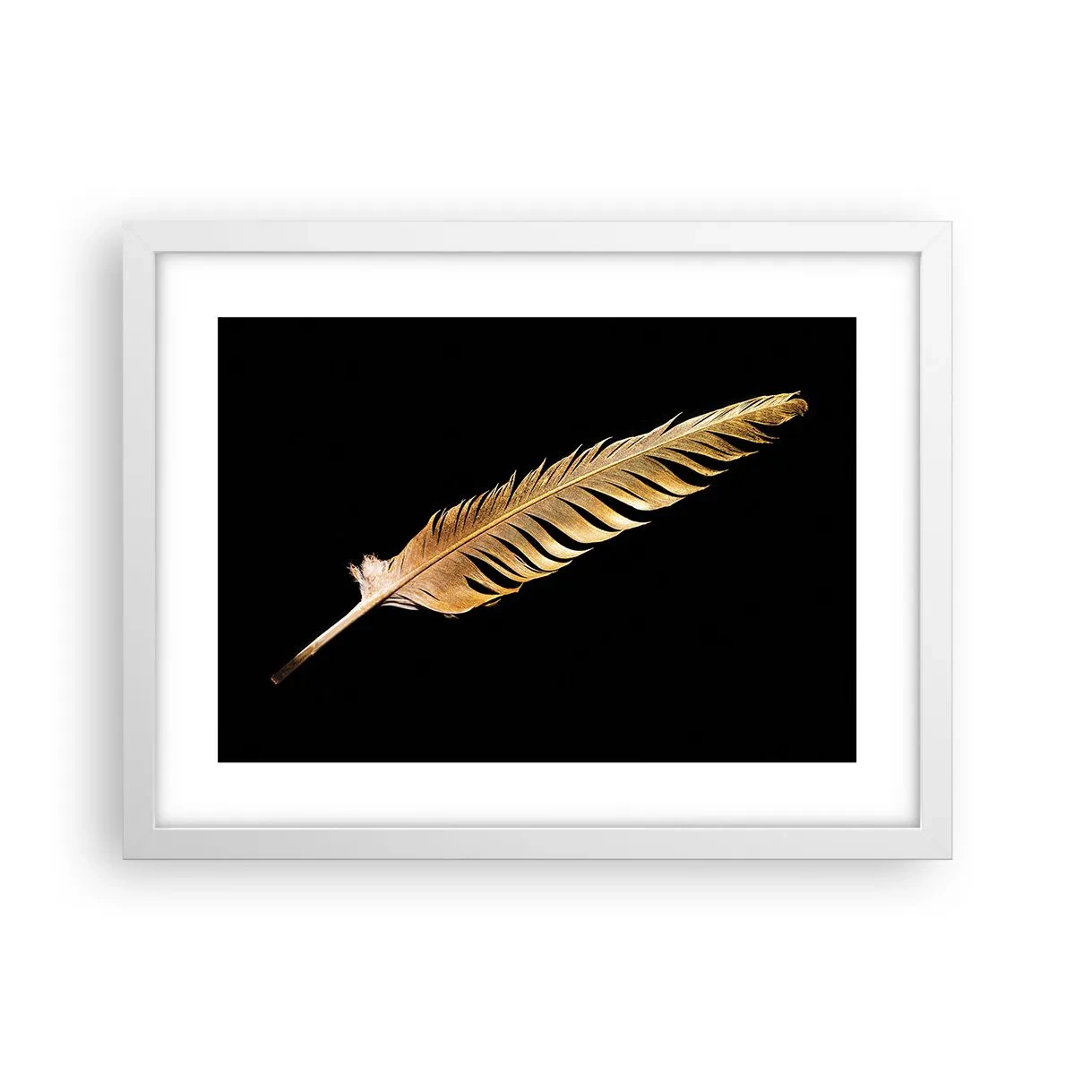 Plagát v bielom ráme - Krásne pierko… - 40x30 cm