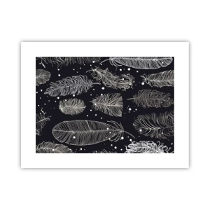 Plagát - Čipka s perím - 40x30 cm