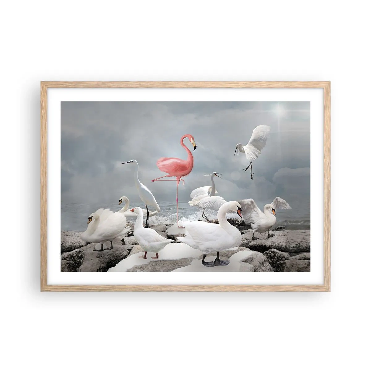 Plagát v ráme zo svetlého duba - Kde som sa tu vzal? - 70x50 cm