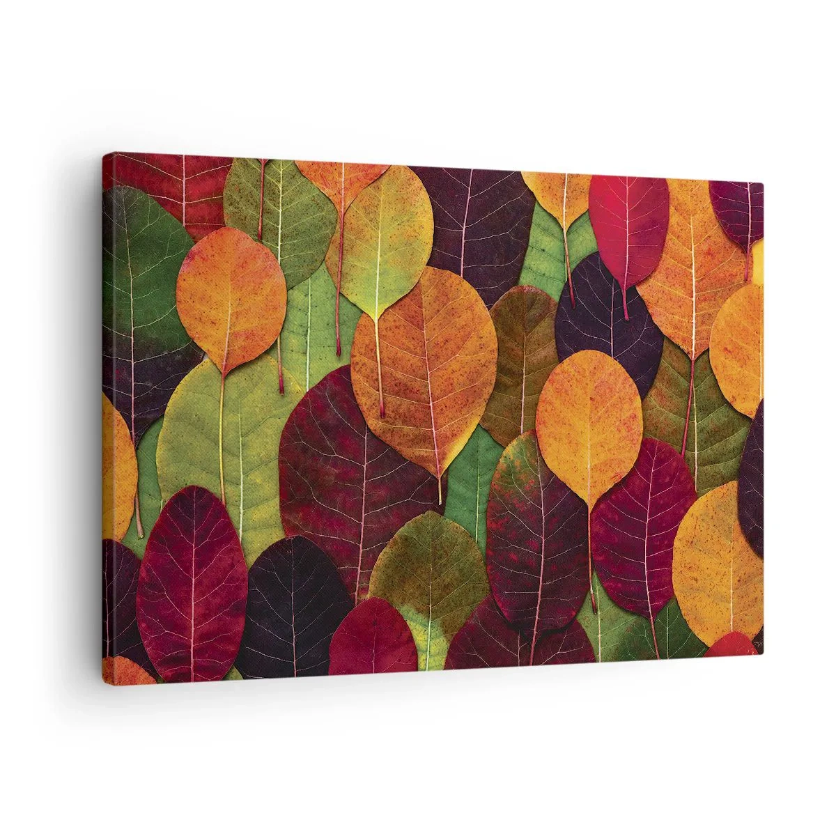 Obraz na plátne - Farebné listy usporiadané do jesenného vzoru - 70x50cm - Jesenná mozaika - Moderná nástenná dekorácia do obývacej izby a spálne ARTTOR