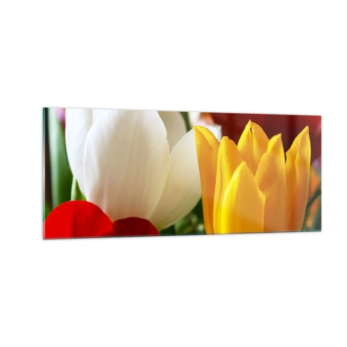 Obraz na skle - Tulipánová horúčka - 100x40 cm