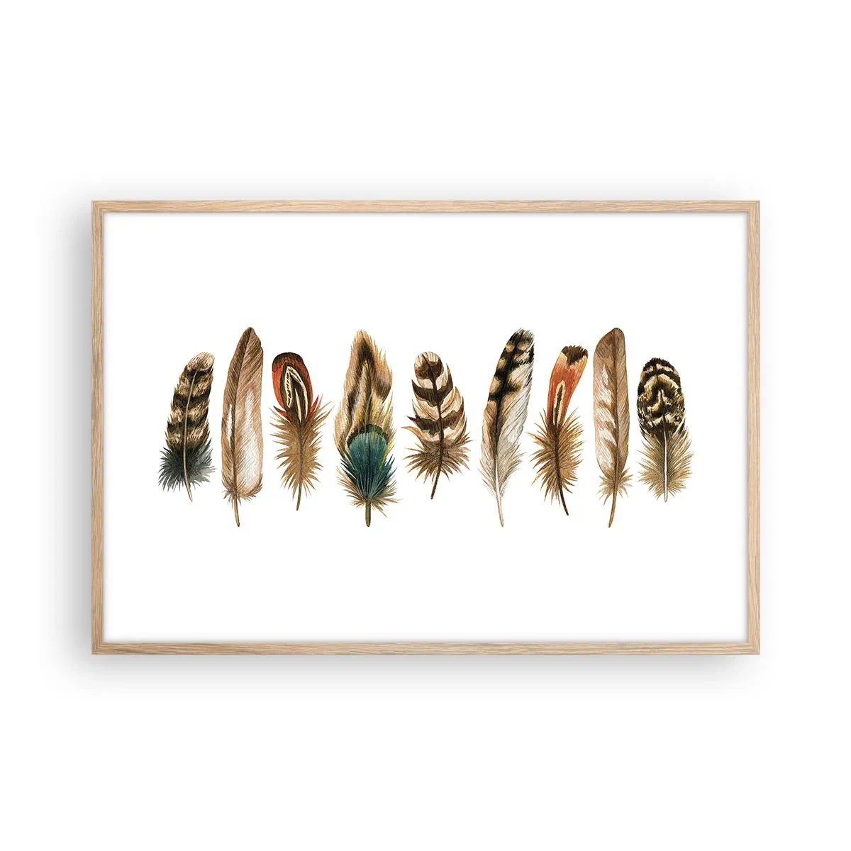 Plagát v ráme zo svetlého duba - Operená variácia - 91x61 cm