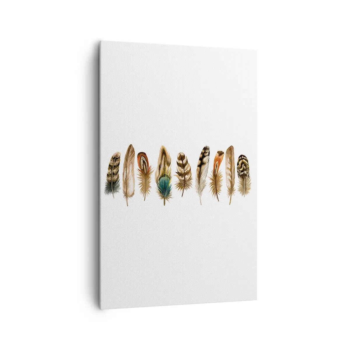 Obraz na plátne - Operená variácia - 80x120 cm