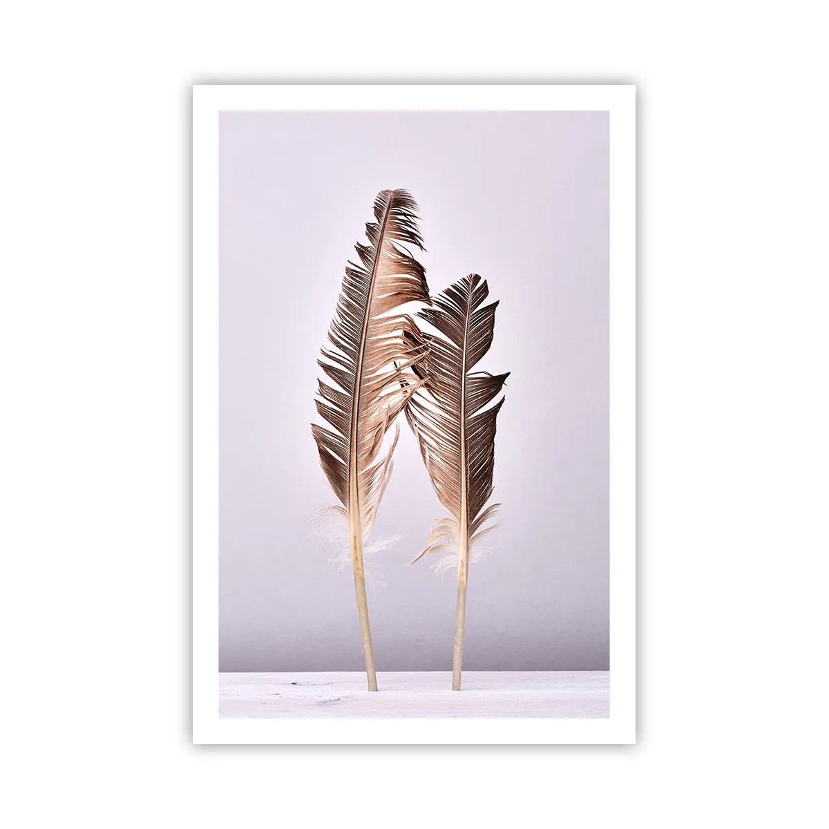 Plagát - Proti ničote - 61x91 cm