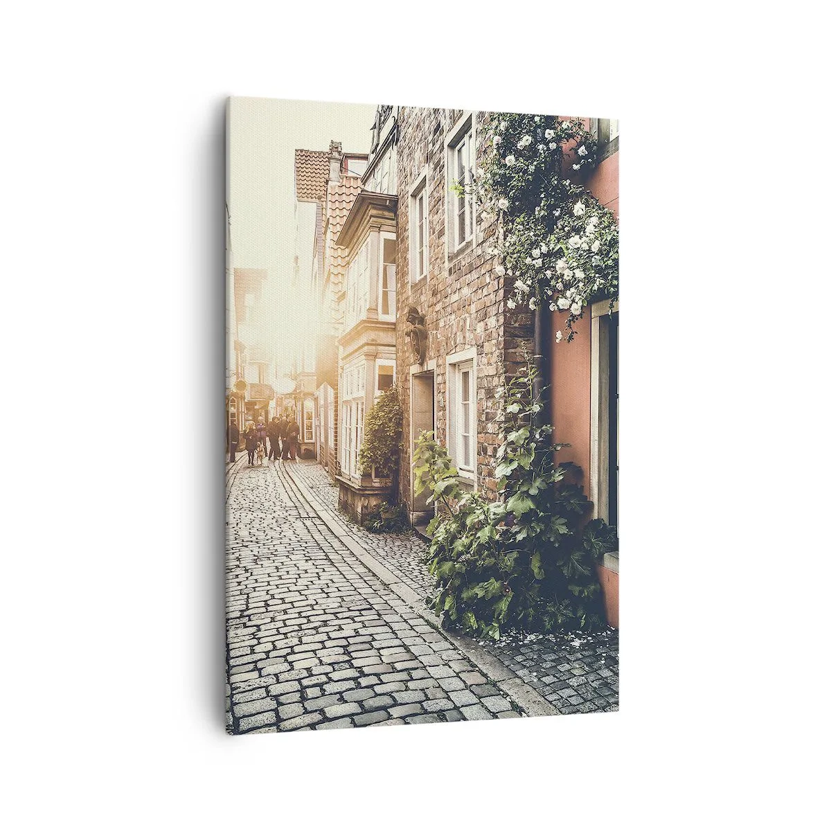 Obraz na plátne - Ružová ulička v ružovej žiare - 70x100 cm