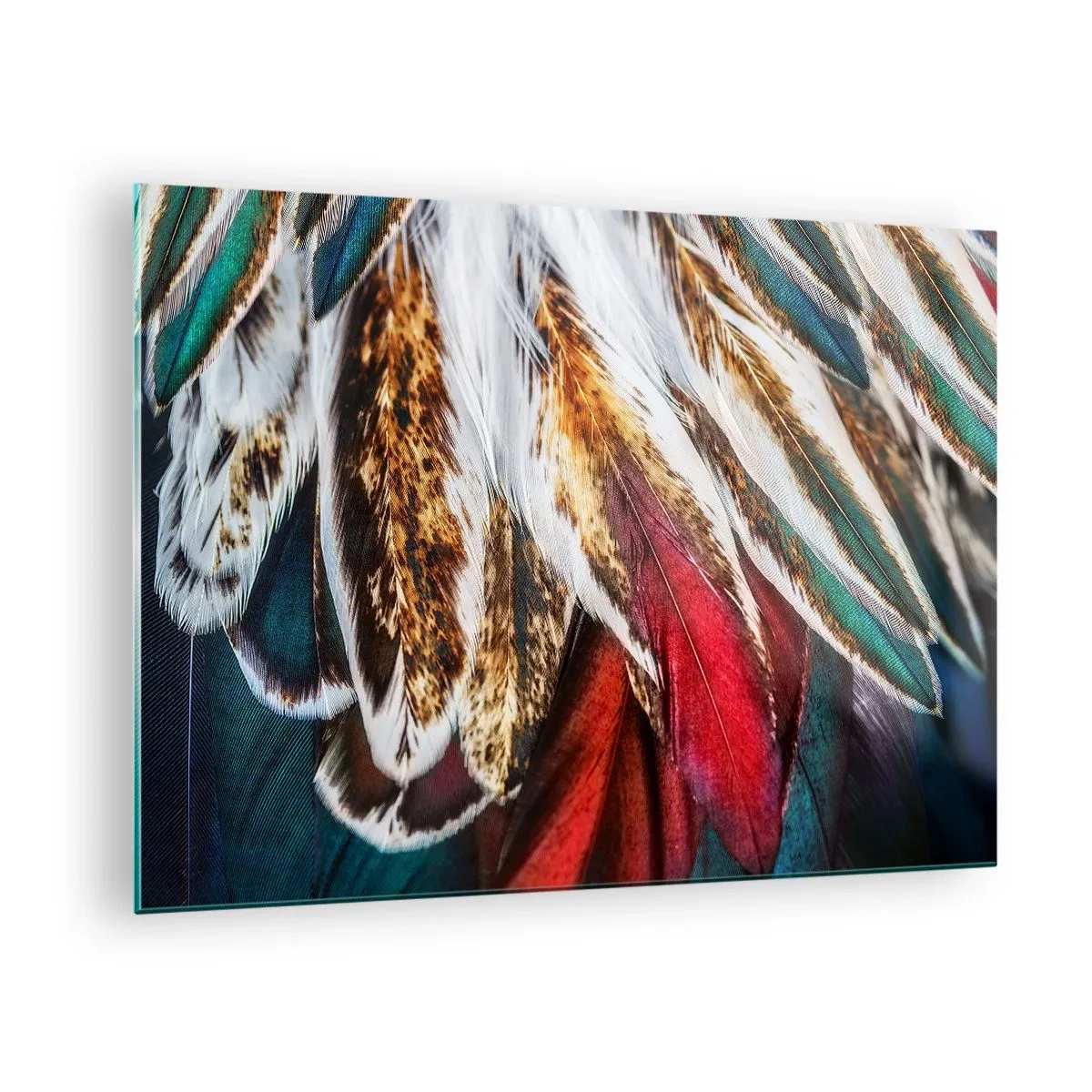 Obraz na skle - Farebné perie v bohatej palete farieb s výraznou textúrou - 70x50cm - Tajomstvo letu - Moderná nástenná dekorácia do obývacej izby a spálne ARTTOR