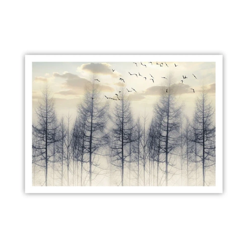Plagát - Duchovia lesa - 100x70 cm