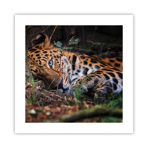 Plagát - Ver mi - 40x40 cm