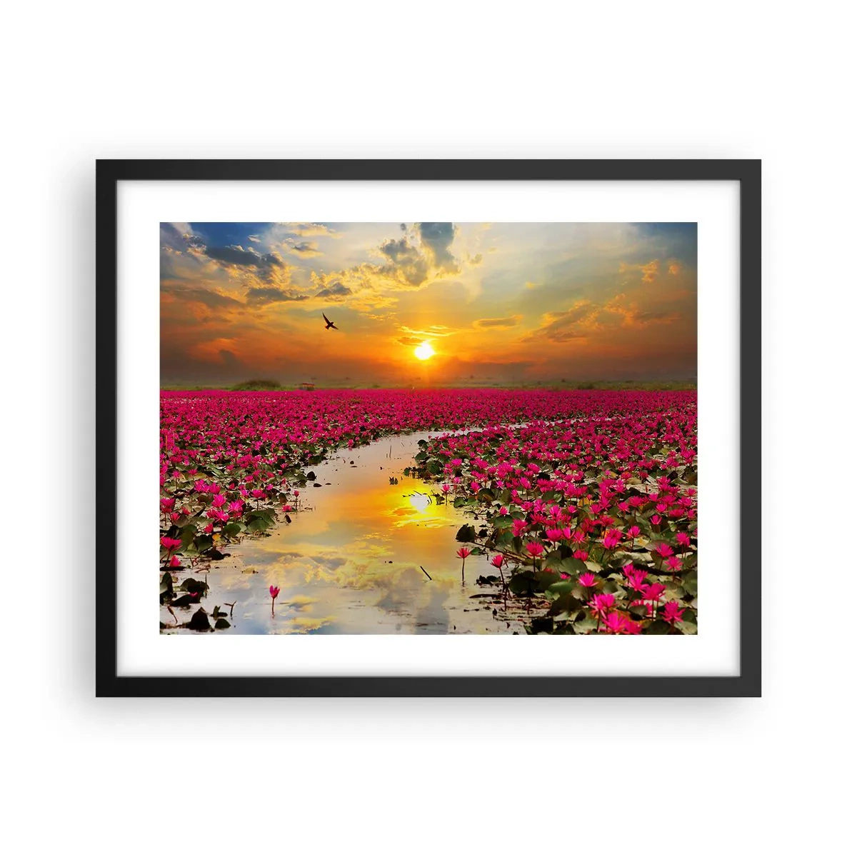 Plagát v čiernom ráme - Tajomný život jazera - 50x40 cm