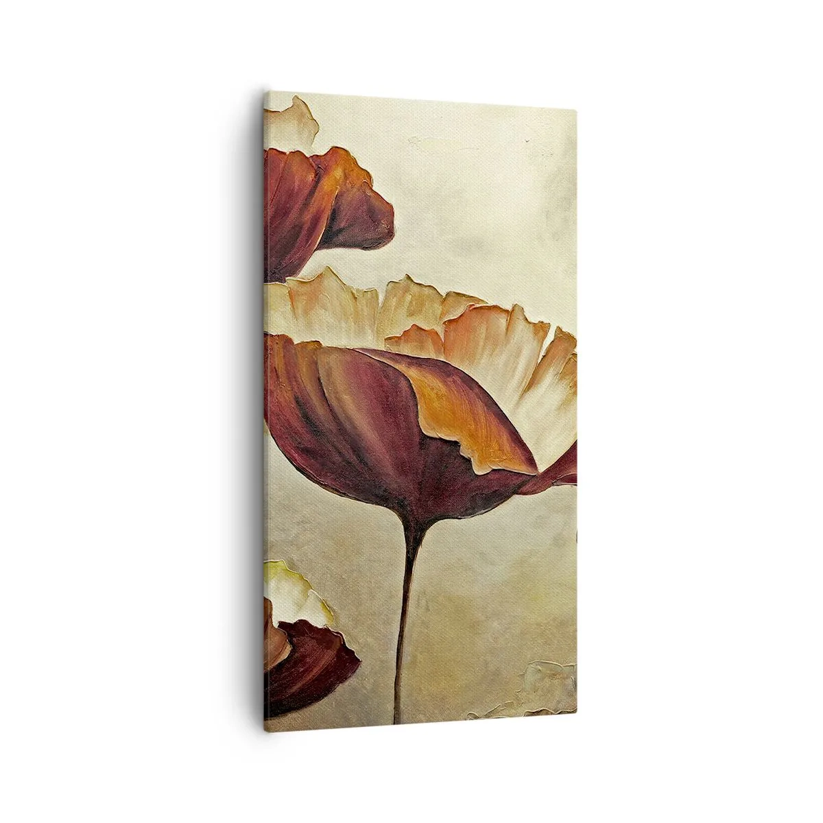 Obraz na plátne - Lán lúky - 55x100 cm
