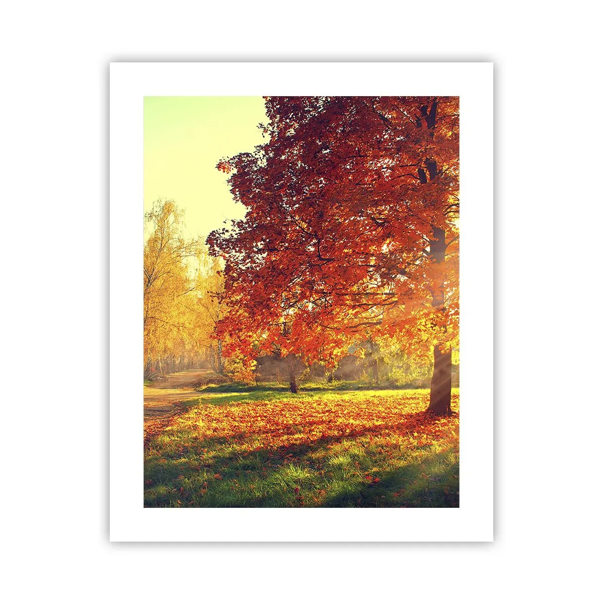 Plagát - Červené je krásne - 40x50 cm