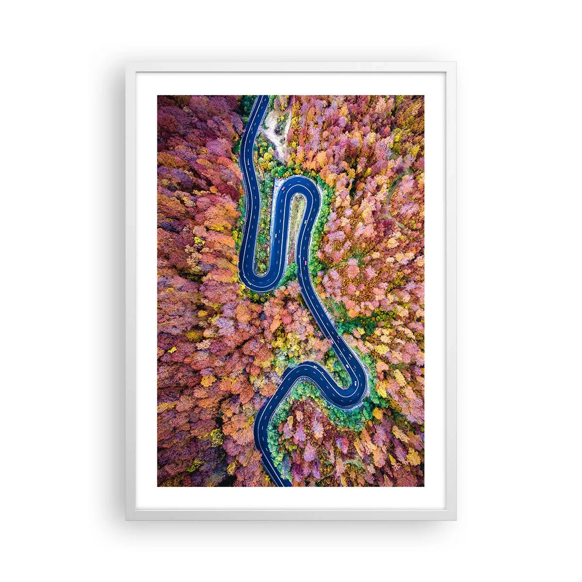 Plagát v bielom ráme - Kľukatá cesta lesom - 50x70 cm