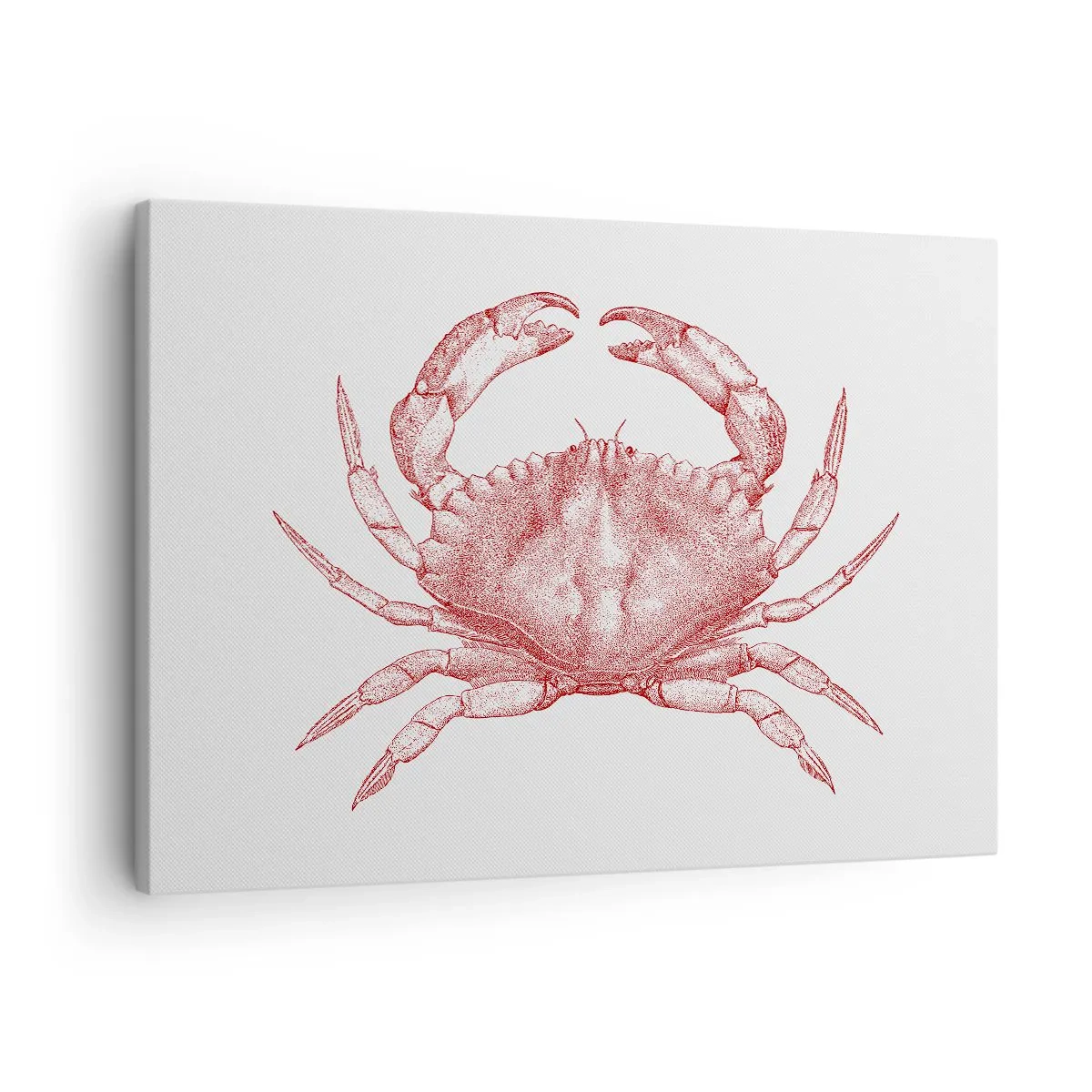 Obraz na plátne - Kresba kraba v červenom odtieni - 70x50cm - Krab nad kraby - Moderná nástenná dekorácia do obývacej izby a spálne ARTTOR