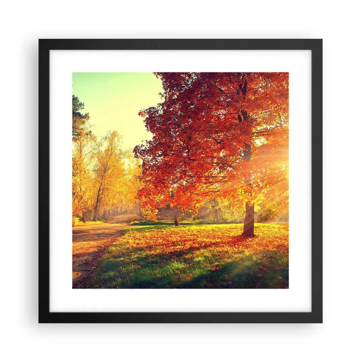 Plagát v čiernom ráme - Červené je krásne - 40x40 cm