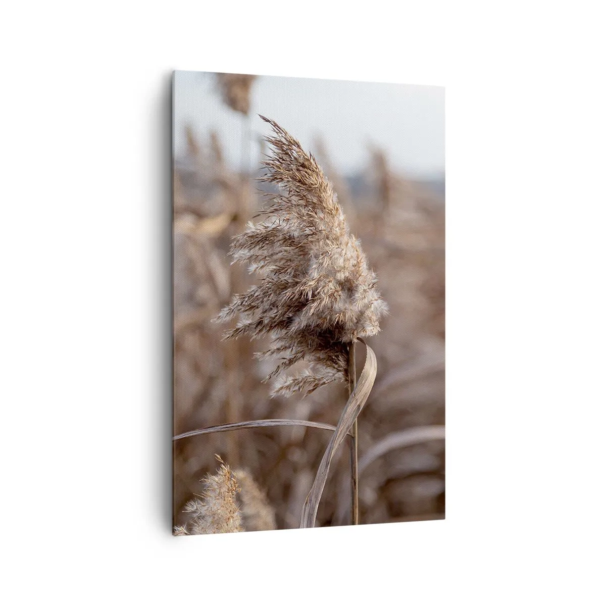 Obraz na plátne - Čas odletieť s vetrom - 80x120 cm