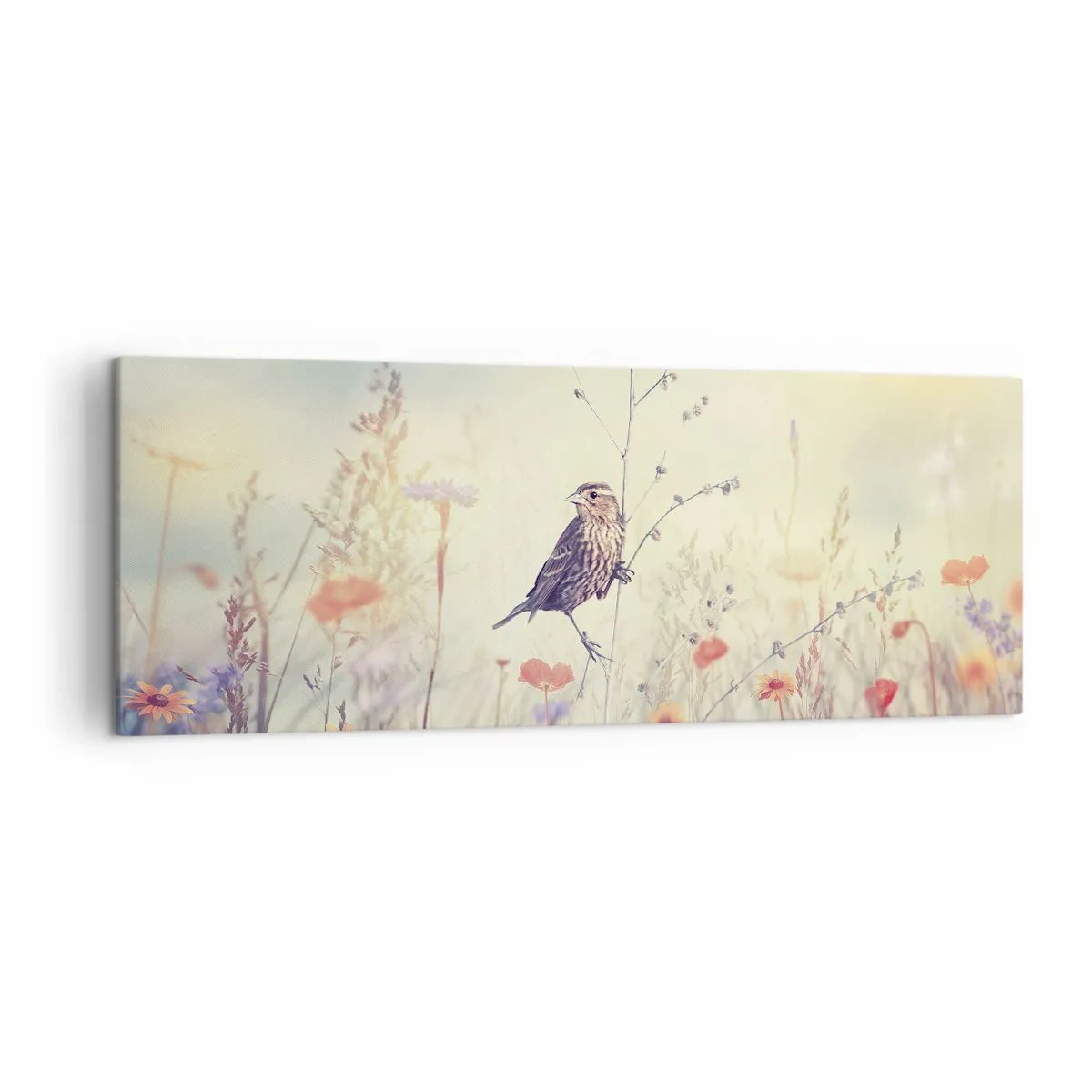Obraz na plátne - Portrét vtáka s lúkou v pozadí - 140x50 cm