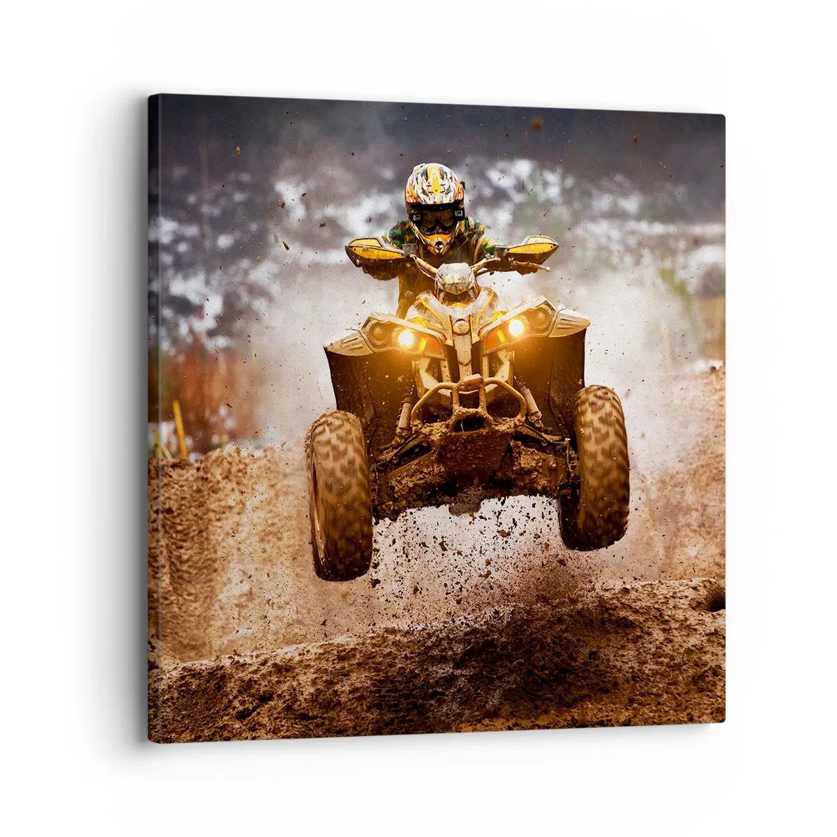 Obraz na plátne - No risk no fun - 30x30 cm