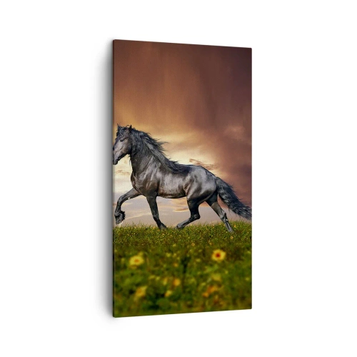Obraz na plátne - Čierny knieža - 45x80 cm
