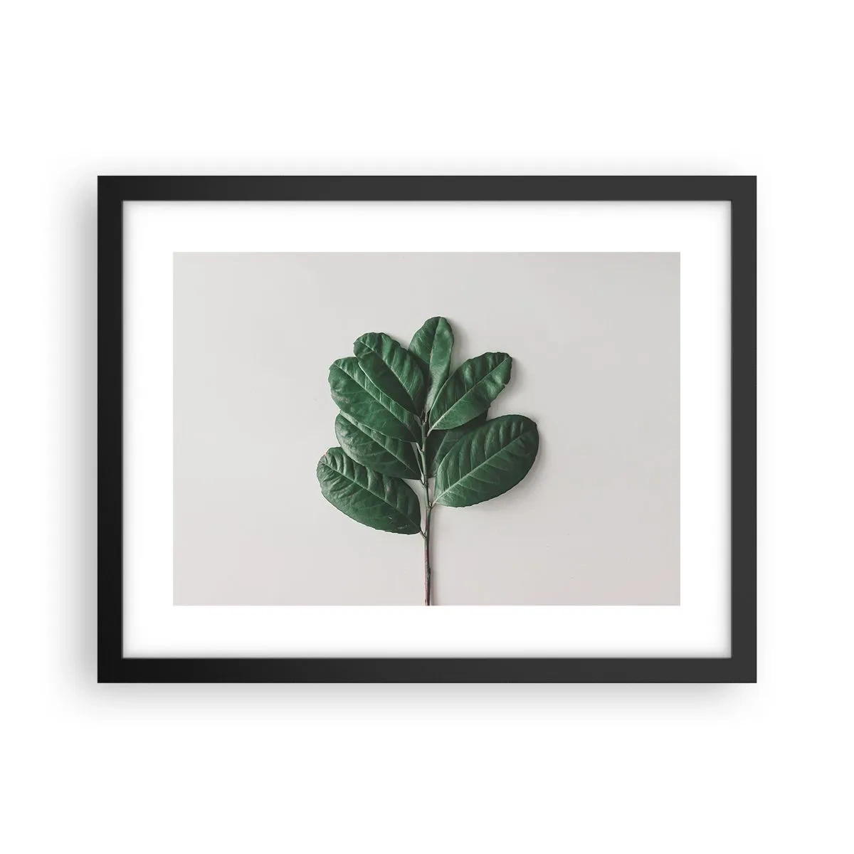Plagát v čiernom ráme - Kresba samotnej prírody - 40x30 cm