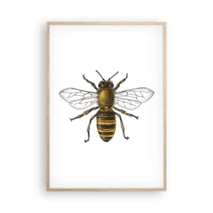 Plagát v ráme zo svetlého duba - Krásna a dobrá - 70x100 cm