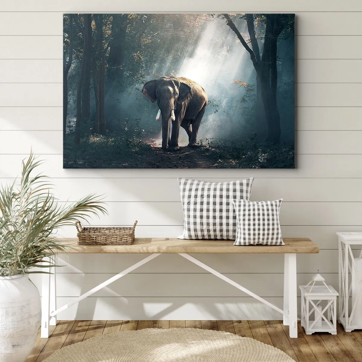 Obraz na plátne - Slon v lesnom svetle - 70x50cm - Pokojná prechádzka - Moderná nástenná dekorácia do obývacej izby a spálne ARTTOR