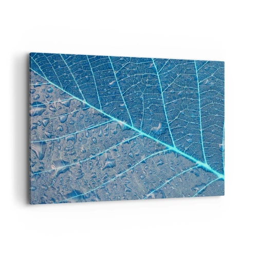 Obraz na plátne - Modrý život - 100x70 cm