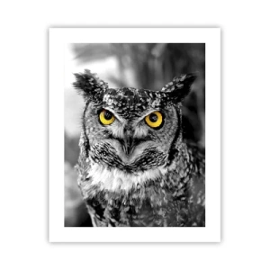 Plagát - Nič sa neschová - 40x50 cm