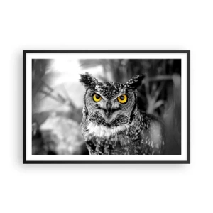 Plagát v čiernom ráme - Nič sa neschová - 91x61 cm