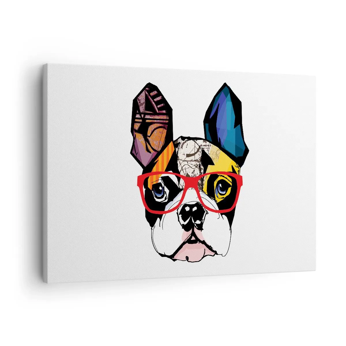 Obraz na plátne - Buldog na farebnej ilustrácii s červenými okuliarmi - 70x50cm - Intelektuál - Moderná nástenná dekorácia do obývacej izby a spálne ARTTOR