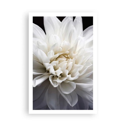 Plagát - Ráno s nevestou - 61x91 cm