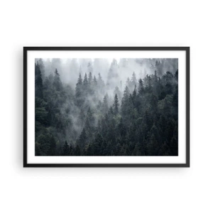 Plagát v čiernom ráme - Lesné svitania - 70x50 cm