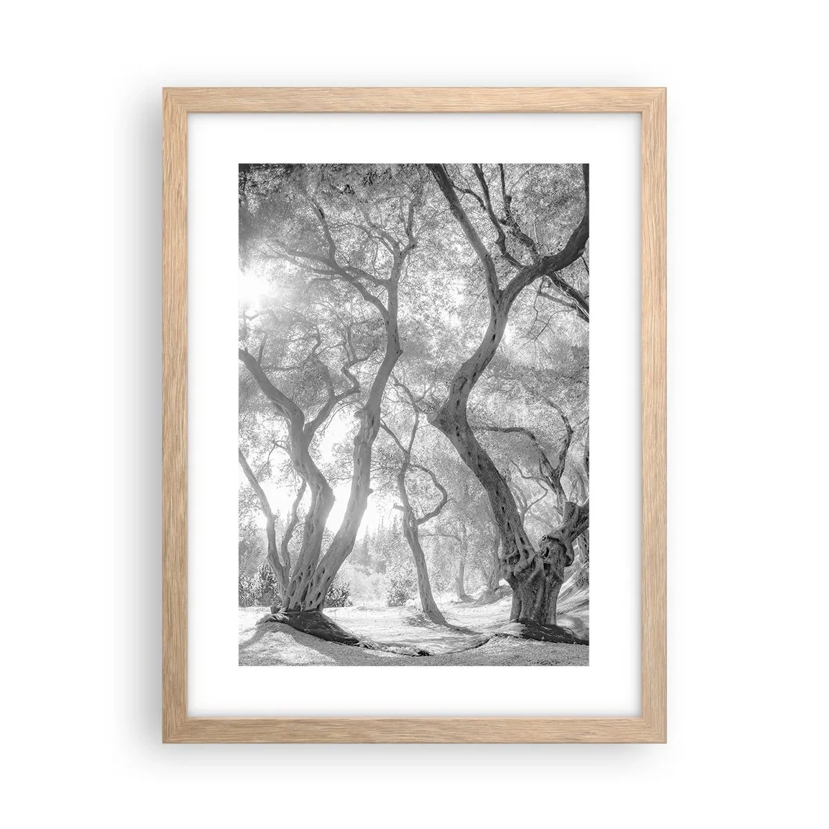 Plagát v ráme zo svetlého duba - V olivovom háji - 30x40 cm