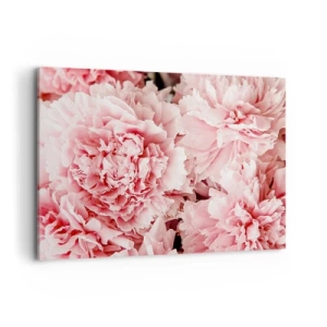 Obraz na plátne - Ružový sen - 100x70 cm