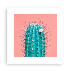 Plagát - Len pozeraj - 30x30 cm