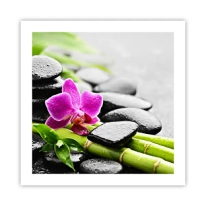 Plagát - V pokojnej rovnováhe - 50x50 cm